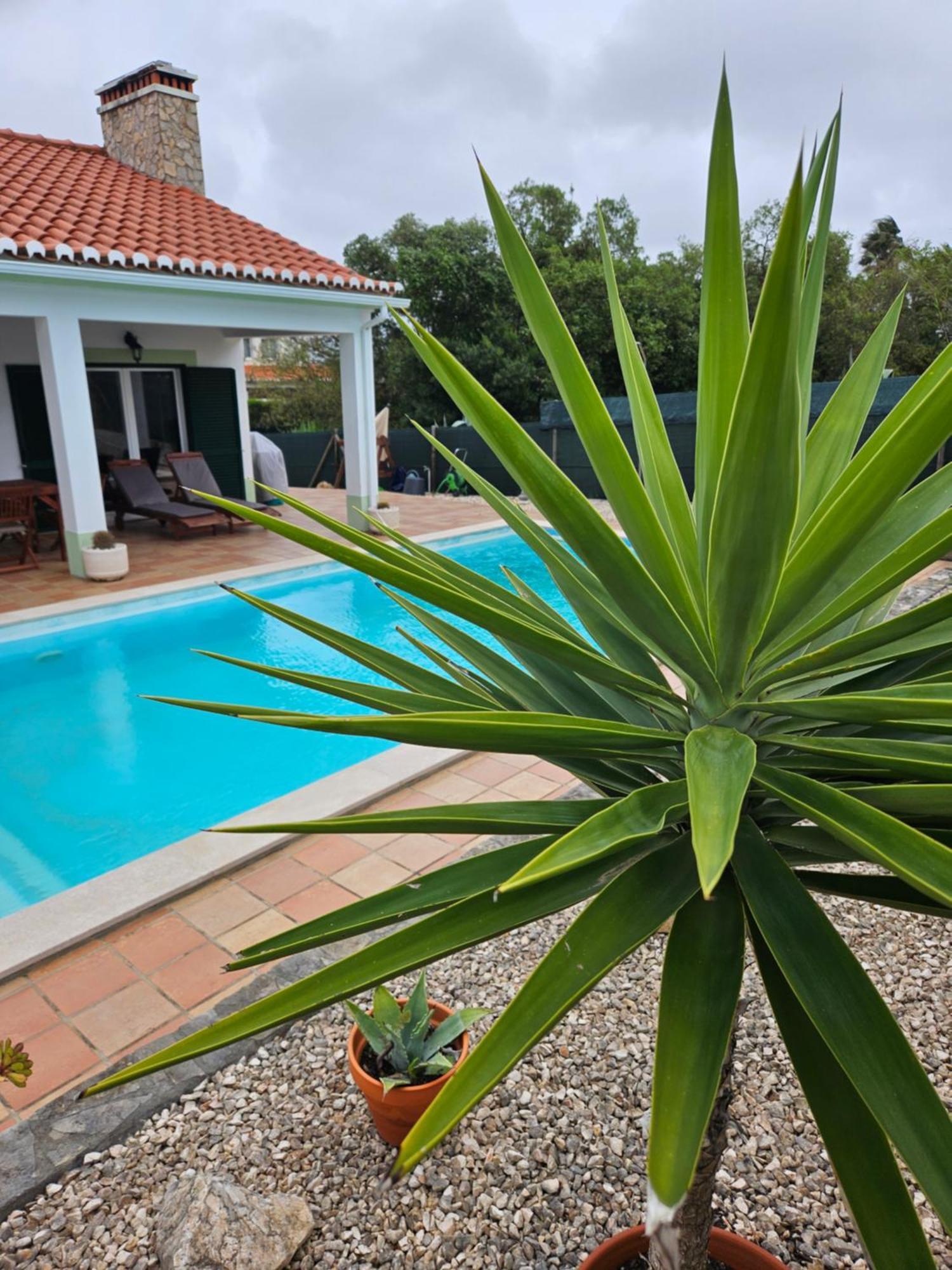 Casa Delbon Guest House Aljezur Buitenkant foto